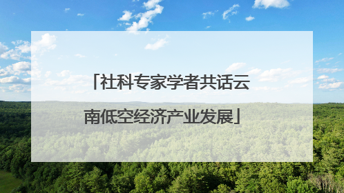 社科专家学者共话云南低空经济产业发展