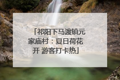 祁阳下马渡镇元家庙村：夏日荷花开 游客打卡热