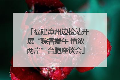 福建漳州边检站开展“粽香端午 情浓两岸”台胞座谈会