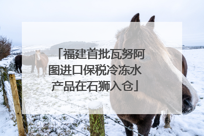 福建首批瓦努阿图进口保税冷冻水产品在石狮入仓
