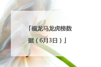 福龙马龙虎榜数据（6月3日）