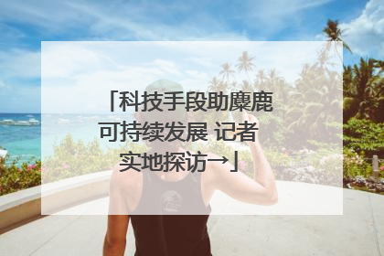 科技手段助麋鹿可持续发展 记者实地探访→