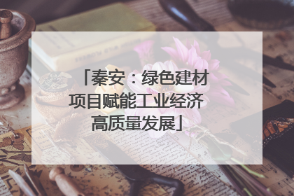 秦安：绿色建材项目赋能工业经济高质量发展