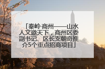 秦岭·商州——山水人文邀天下，商州区委副书记、区长支朝奇推介5个重点招商项目