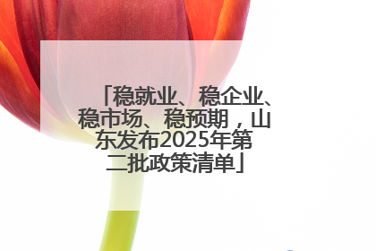 稳就业、稳企业、稳市场、稳预期，山东发布2025年第二批政策清单