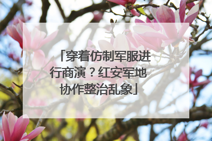 穿着仿制军服进行商演？红安军地协作整治乱象