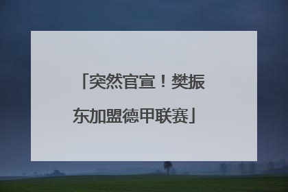 突然官宣！樊振东加盟德甲联赛