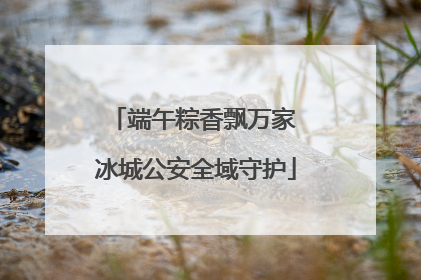 端午粽香飘万家 冰城公安全域守护