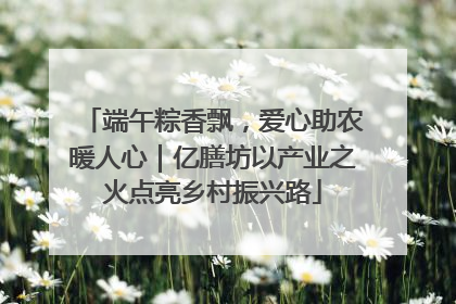 端午粽香飘，爱心助农暖人心｜亿膳坊以产业之火点亮乡村振兴路