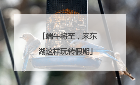 端午将至，来东湖这样玩转假期