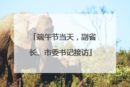 端午节当天，副省长、市委书记接访