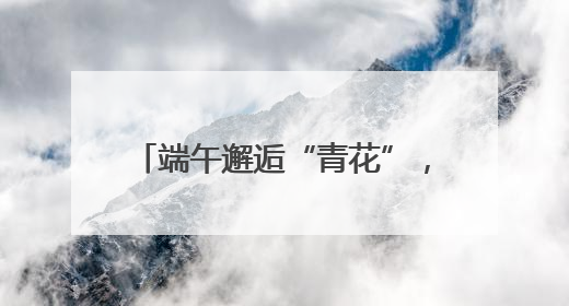 端午邂逅“青花”，“移动博物馆”点亮郑州城市文化空间