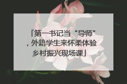 第一书记当“导师”，外籍学生来怀柔体验乡村振兴现场课
