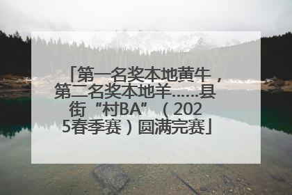 第一名奖本地黄牛，第二名奖本地羊……县街“村BA”（2025春季赛）圆满完赛