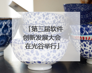 第三届软件创新发展大会在光谷举行