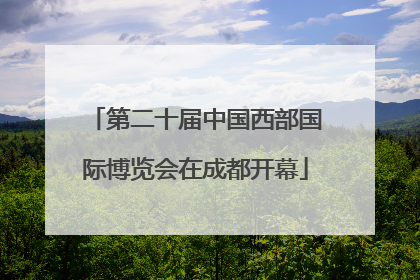 第二十届中国西部国际博览会在成都开幕