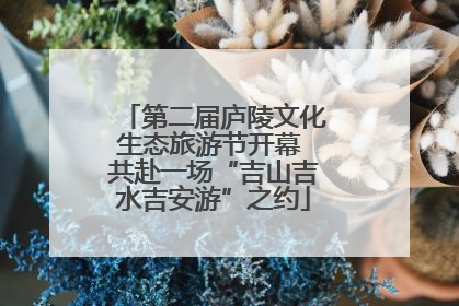 第二届庐陵文化生态旅游节开幕 共赴一场“吉山吉水吉安游”之约