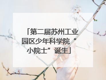 第二届苏州工业园区少年科学院“小院士”诞生