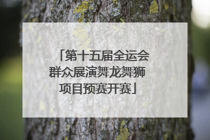 第十五届全运会群众展演舞龙舞狮项目预赛开赛