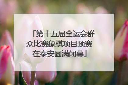 第十五届全运会群众比赛象棋项目预赛在泰安圆满闭幕