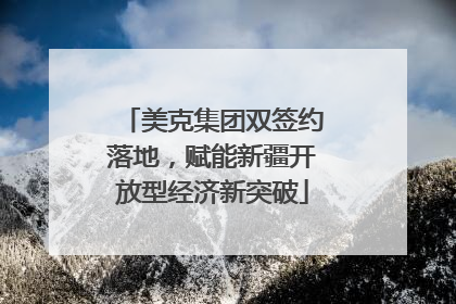 美克集团双签约落地，赋能新疆开放型经济新突破