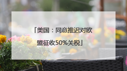 美国：同意推迟对欧盟征收50%关税