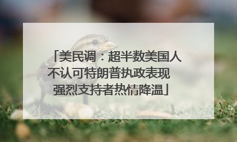 美民调：超半数美国人不认可特朗普执政表现 强烈支持者热情降温