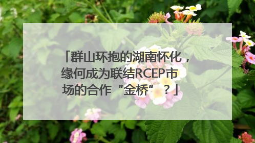群山环抱的湖南怀化，缘何成为联结RCEP市场的合作“金桥”？
