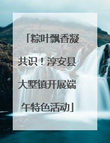 粽叶飘香凝共识！淳安县大墅镇开展端午特色活动