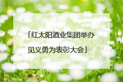 红太阳酒业集团举办见义勇为表彰大会