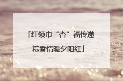 红领巾“杏”福传递 粽香情暖夕阳红