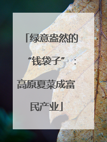 绿意盎然的“钱袋子”：高原夏菜成富民产业