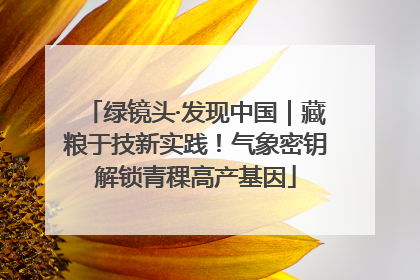 绿镜头·发现中国｜藏粮于技新实践！气象密钥解锁青稞高产基因
