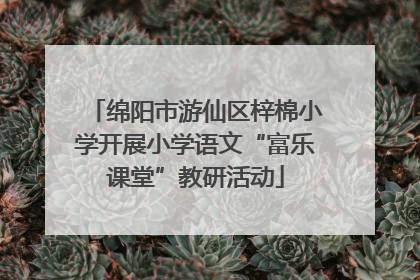 绵阳市游仙区梓棉小学开展小学语文“富乐课堂”教研活动
