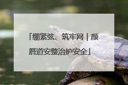 绷紧弦、筑牢网｜颜厝道安整治护安全
