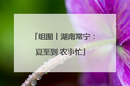 组图丨湖南常宁：夏至到 农事忙