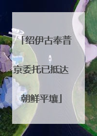 绍伊古奉普京委托已抵达朝鲜平壤