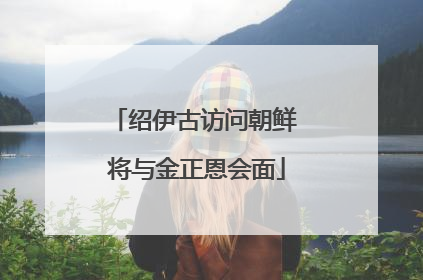 绍伊古访问朝鲜 将与金正恩会面