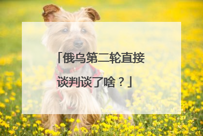 俄乌第二轮直接谈判谈了啥？