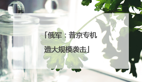 俄军：普京专机遭大规模袭击
