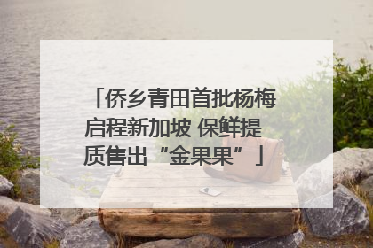 侨乡青田首批杨梅启程新加坡 保鲜提质售出“金果果”