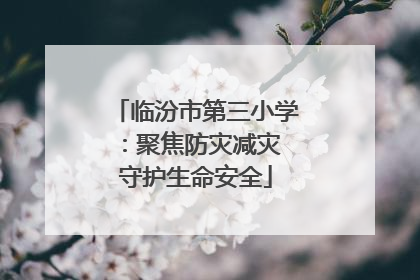 临汾市第三小学：聚焦防灾减灾 守护生命安全