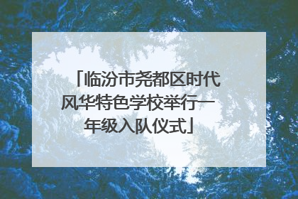 临汾市尧都区时代风华特色学校举行一年级入队仪式