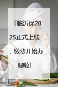 临沂保2025正式上线，缴费开始办理啦