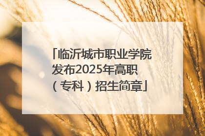 临沂城市职业学院发布2025年高职（专科）招生简章