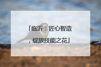 临沂：匠心智造，绽放技能之花