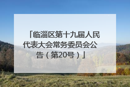 临淄区第十九届人民代表大会常务委员会公告（第20号）