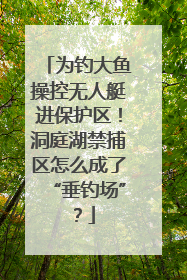 为钓大鱼操控无人艇进保护区！洞庭湖禁捕区怎么成了“垂钓场”？
