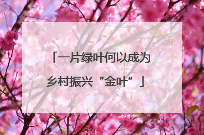 一片绿叶何以成为乡村振兴“金叶”