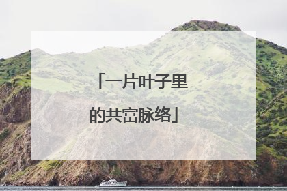一片叶子里的共富脉络